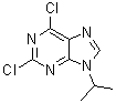 structure of CAS# 203436-45-7, 2,6-Dichloro-9-isopropyl-9H-purine