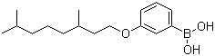 3-(3,7-Dimethyloctyloxy)benzeneboronic acid molecular structure (CAS 209347-66-0)
