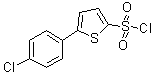 5-(4-Chlorophenyl)-2-thiophenesulfonyl chloride molecular structure (CAS 209592-43-8)