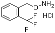 O-(2-Trifluoromethylbenzyl)hydroxylamine hydrochloride molecular structure (CAS 215599-92-1)