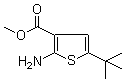 Methyl 5-tert-butyl-2-aminothiophene-3-carboxylate molecular structure (CAS 216574-71-9)