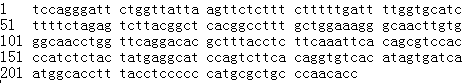 GenBank AI175418 molecular structure (CAS 217782-56-4)