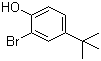 structure of CAS# 2198-66-5, 2-Bromo-4-tert-butylphenol
