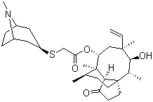 Retapamulin molecular structure (CAS 224452-66-8)