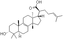 3-Hydroxytirucallic acid molecular structure (CAS 28282-27-1)