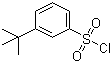 3-tert-Butylbenzenesulphonyl chloride molecular structure (CAS 2905-26-2)