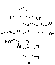 2-(3,4-Dihydroxyphenyl)-5,7-dihydroxy-3-[(2-O-beta-D-xylopyranosyl-beta-D-galactopyranosyl)oxy]-1-benzopyrylium chloride molecular structure (CAS 31073-32-2)