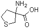 3-氨基四氢噻吩-3-羧酸分子结构 (CAS 32418-99-8)