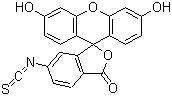 Fluorescein 6-isothiocyanate molecular structure (CAS 3326-31-6)