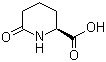 structure of CAS# 34622-39-4, (S)-6-Oxo-2-piperidinecarboxylic acid;L-6-Oxopipecolinic acid
