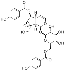 6'-O-p-Hydroxybenzoylcatalposide molecular structure (CAS 355143-38-3)