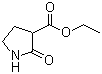 2-Oxopyrrolidine-3-carboxylic acid ethyl ester molecular structure (CAS 36821-26-8)