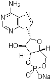 structure of CAS# 37839-81-9, Adenosine 3',5'-phosphoric acid sodium salt;Cyclic 3',5'-AMP sodium salt; Cyclic 3',5'-adenosine monophosphate monosodium salt; Cyclic AMP sodium; Cyclic AMP sodium salt; cAMP sodium salt