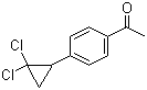 4'-(2,2-二氯环丙基)苯乙酮分子结构 (CAS 40641-93-8)