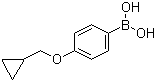 structure of CAS# 411229-67-9, 4-(Cyclopropylmethoxy)phenylboronic acid;4-(Cyclopropylmethoxy)benzeneboronic acid