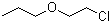 1-(2-Chloroethoxy)propane molecular structure (CAS 42149-74-6)