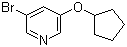 3-Bromo-5-cyclopentyloxypyridine molecular structure (CAS 422557-08-2)