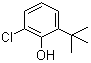 2-tert-Butyl-6-chlorophenol molecular structure (CAS 4237-37-0)
