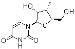 3'-Deoxy-3'-methyluridine molecular structure (CAS 444020-64-8)