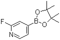 structure of CAS# 458532-86-0, 2-Fluoropyridine-4-boronic acid pinacol ester;2-Fluoro-4-(4,4,5,5-tetramethyl-1,3,2-dioxaborolan-2-yl)pyridine