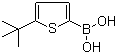5-tert-Butylthiophene-2-boronic acid molecular structure (CAS 495382-48-4)