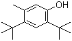 4,6-Di-tert-butyl-3-methylphenol molecular structure (CAS 497-39-2)