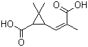 Chrysanthemumdicarboxylic acid molecular structure (CAS 497-95-0)