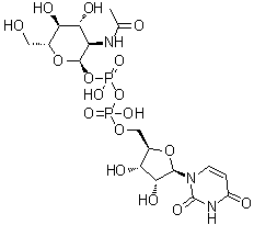 Uridine 5'-(2-acetamido-2-deoxy-alpha-D-glucosyl pyrophosphate) molecular structure (CAS 528-04-1)