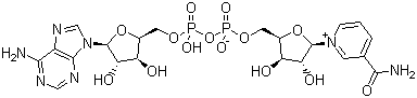 β-Diphosphopyridine nucleotide molecular structure (CAS 53-84-9)