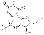 2'-O-tert-Butyldimethylsilyluridine molecular structure (CAS 54925-71-2)