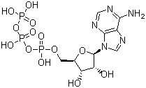 Adenosine triphosphate molecular structure (CAS 56-65-5)