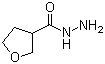 Tetrahydro-3-furancarboxylic acid hydrazide molecular structure (CAS 59293-32-2)