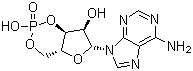 结构式 CAS# 60-92-4, 腺苷环磷酸酯; 腺甙环磷酸酯; 环磷腺苷; 腺苷-3'-5'-环磷酸