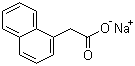 structure of CAS# 61-31-4, Sodium naphthalene-1-acetate;1-Naphthaleneacetic acid sodium salt