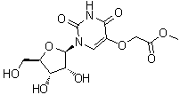 Uridine-5-oxyacetic acid methyl ester molecular structure (CAS 66536-81-0)