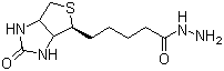 结构式 CAS# 66640-86-6, 生物素酰肼