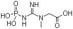 structure of CAS# 67-07-2, N-(Phosphonoamidino)-sarcosine;Creatine phosphate; N-Phosphocreatine