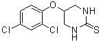 5-(2,4-Dichlorophenoxy)tetrahydro-2(1H)-pyrimidinethione molecular structure (CAS 676167-21-8)