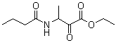 Ethyl 3-(butanoylamino)-2-oxobutanoate molecular structure (CAS 68282-26-8)
