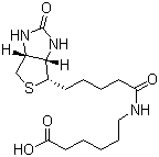 structure of CAS# 72040-64-3, N-Biotinylcaproic acid;N-(+)-Biotinyl-6-aminohexanoic acid