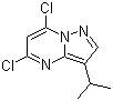 5,7-Dichloro-3-(1-methylethyl)pyrazolo[1,5-a]pyrimidine molecular structure (CAS 771510-32-8)