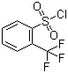 structure of CAS# 776-04-5, 2-(Trifluoromethyl)benzenesulfonyl chloride;2-(Trifluoromethyl)benzene-1-sulfonyl chloride