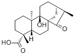 等效-9-羟基-15-氧代-19-异贝壳杉烷酸分子结构 (CAS 77658-45-8)