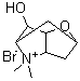 (2S,3aR,5S,6S,6aS)-Hexahydro-6-hydroxy-4,4-dimethyl-2,5-methano-2H-furo[3,2-b]pyrrolium bromide (1:1) molecular structure (CAS 845870-40-8)