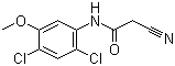 structure of CAS# 846023-24-3, 2-Cyano-N-(2,4-dichloro-5-methoxyphenyl)acetamide