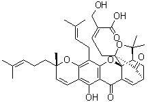 30-Hydroxyepigambogic acid molecular structure (CAS 881027-36-7)