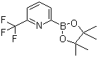 6-(Trifluoromethyl)pyridine-2-boronic acid pinacol ester molecular structure (CAS 881402-16-0)