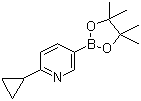 structure of CAS# 893567-09-4, 6-Cyclopropylpyridine-3-boronic acid pinacol ester;6-(Cyclopropyl)pyridine-3-boronic acid pinacol ester