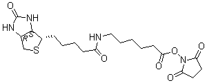 Molecular Probes B 1606 molecular structure (CAS 89889-52-1)