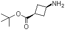 顺式-3-氨基环丁烷羧酸叔丁酯分子结构 (CAS 957793-95-2)